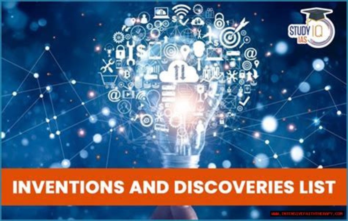 Discoveries and Insights for the Who24 Niche