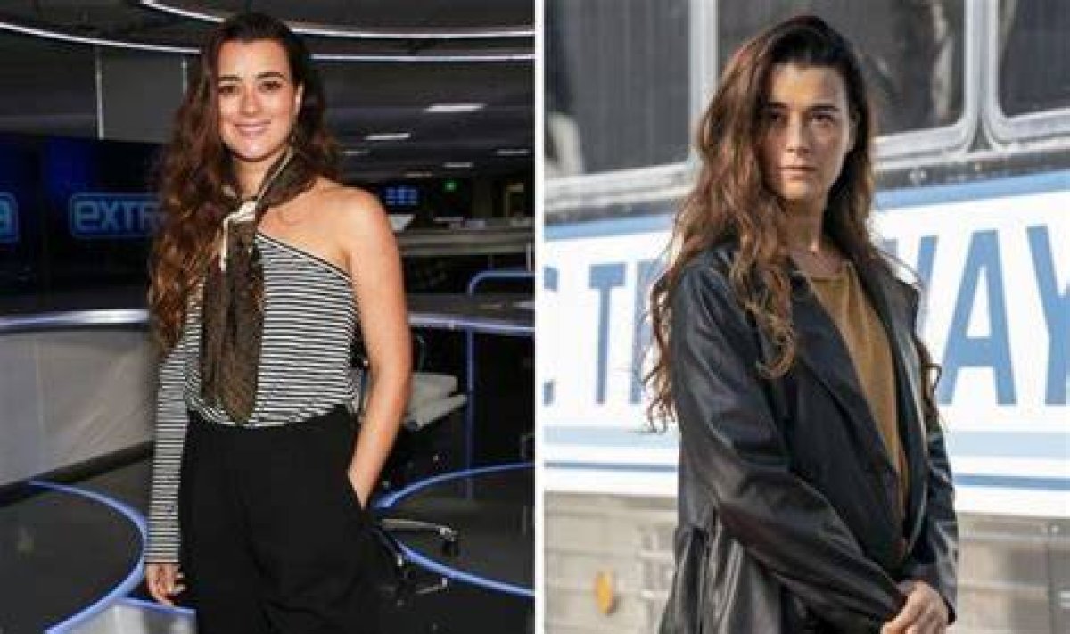 Does Cote De Pablo Have Children: a Quick Answer