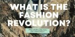 Exploring Dreamin Clothing: a Fashion Revolution