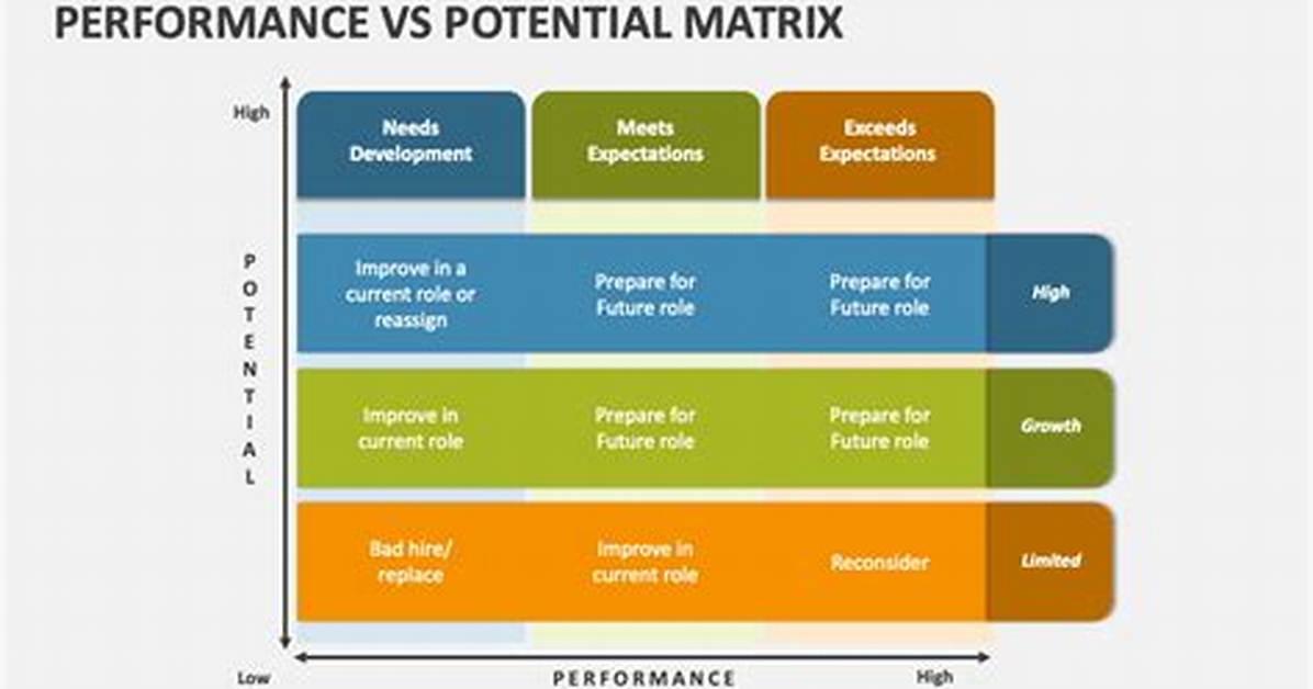 Exploring Value, Performance, and Future Potential