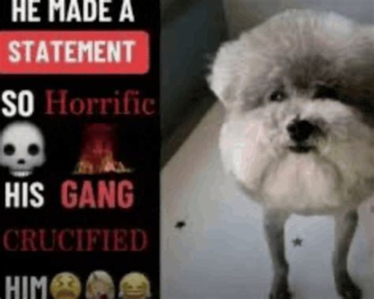 “How Is He This Horrific and Gross? ”: Felix Cipher Egg Playlist Claim Surfaces Amid Hitler Reincarnation Tiktok Controversy