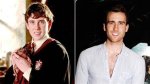 Neville Longbottom Now: the Journey of Growth and Transformation