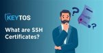 Remoteiot Platform Ssh: Free Download and Comprehensive Guide