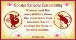 Rooster and Rat Compatibility: Seductive Affair