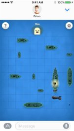 Sea Battle Game Pigeon Layouts: a Comprehensive Guide