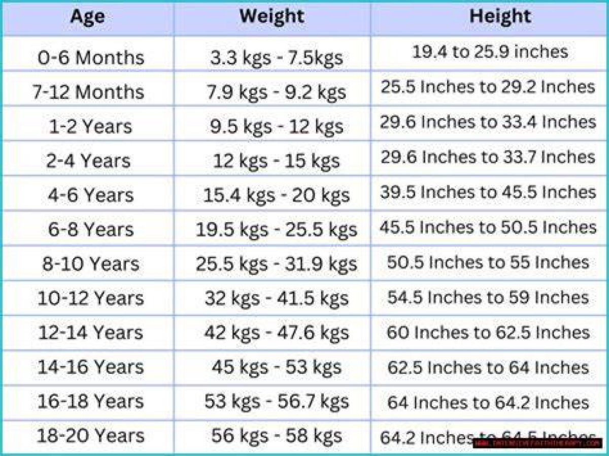 Unveiling James Comer: Height and Weight Insights