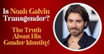 Unveiling the Truth: Is Noah Galvin Trans?